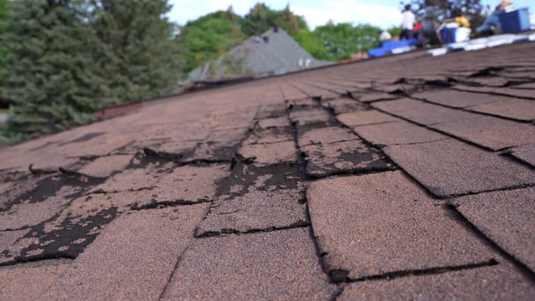Best Cold Roofs  in Puxico, MO